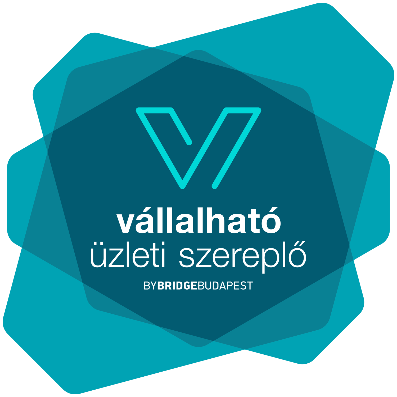 Vállalható Üzleti Szereplő